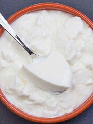 Cow Milk Yohgurt / Curd