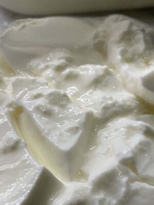 Buffalo milk Yoghurt / Curd