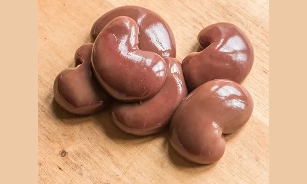 Organic Lamb or Goat Brain / Maghaz