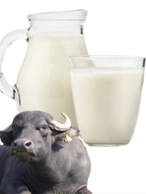 Raw Organic Buffalo Milk